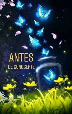 Antes De Conocerte