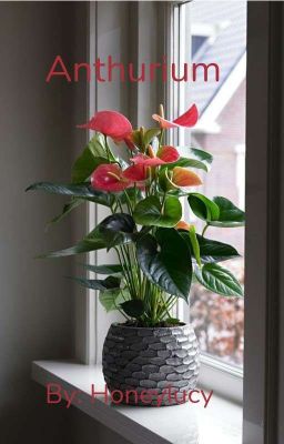 Anthurium