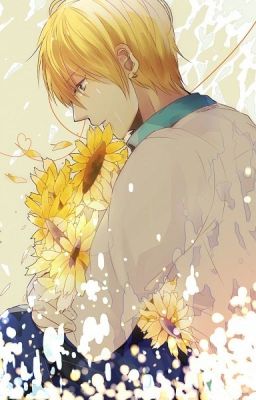 [AoKise] Trao đổi