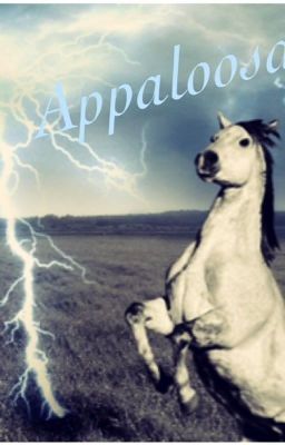 Appaloosa