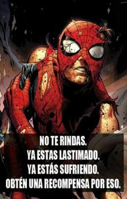 Apreciación de spiderman