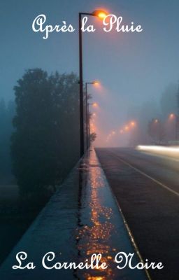 Après la pluie