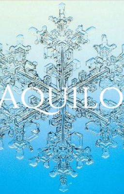 Aquilo (PJO\HOO story)