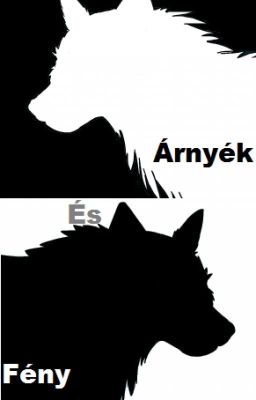 Árnyék és Fény