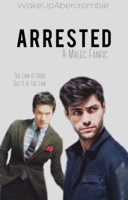 Arrested (Book 1 of the Arrested Trilogy) {malec au}