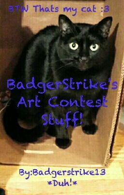 Art Contests