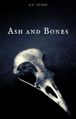 Ash and Bones [ongoing - hiatus]