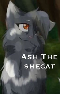 Ash the Shecat