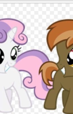 Ask button and sweetie belle