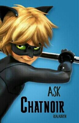 Ask Chatnoir