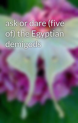 ask or dare (five of) the Egyptian demigods