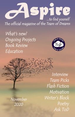 Aspire Magazine - November 2020 - Team of Dreams