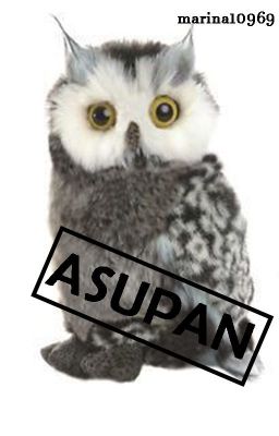 ASUPAN