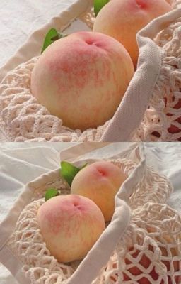 |atsh| peach