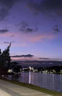 atsh2 ● lấp lánh