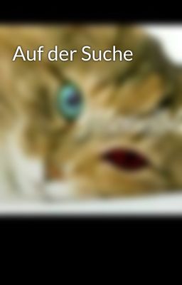 Auf der Suche 