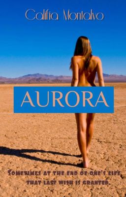 Aurora: A Soldier's Brief Diary