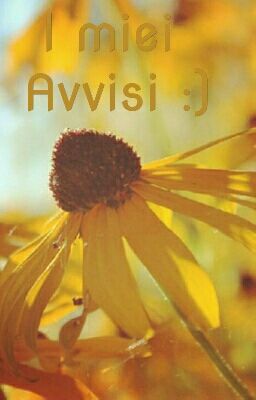 avvisi