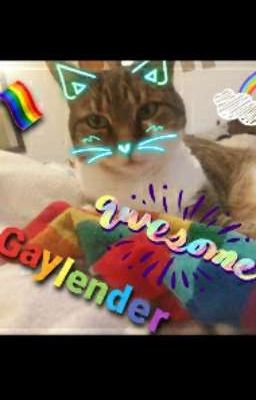 Awesome gaylender