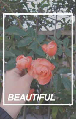 b e a u t i f u l//deh [texting]