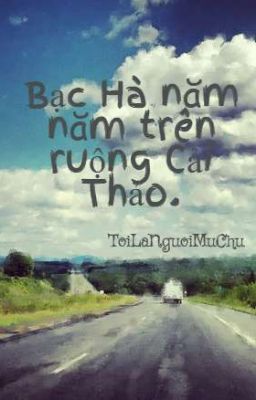 Bạc Hà năm năm trên ruộng Cải Thảo