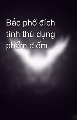 Bắc phố đích tình thú dụng phẩm điếm