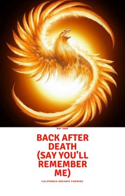 Back After Death (Say You will Remeber Me)