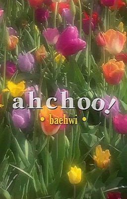 baehwi | ahchoo!