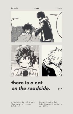 BakuDeku/TodoDeku | Có con mèo ở bên vệ đường.