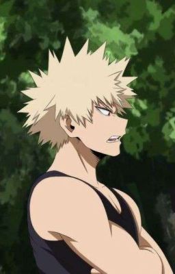 [Bakugo X Reader] RÉÉCRITURE !