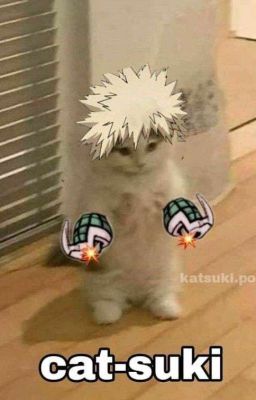 bakugou nhỏ của bẹn