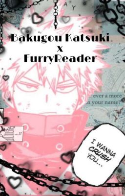 Bakugou x FemReader- un mondo diverso