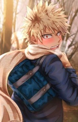 [Bakugou x y/n] Chuyện tình sầu riêng:))