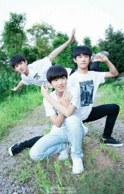 Bạn biết đến TFBOYS như thế nào?