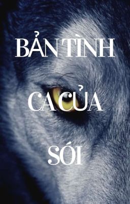 Bản Tình Ca Của Sói