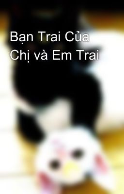 Bạn Trai Của Chị và Em Trai