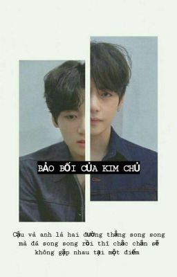 BẢO BỐI CỦA KIM CHỦ [ VKOOK, SUMIN ]