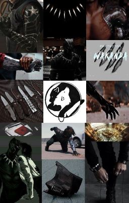 [Báo Đông/Marvel]If you walk the footstep of a stranger