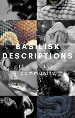 Basilisk Descriptions | TFC