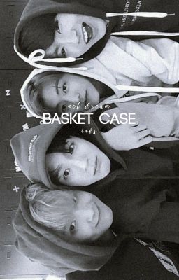 Basket Case » NCT Dream (pocket size books)