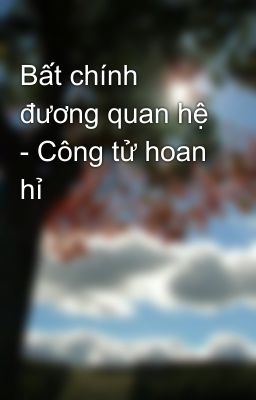 Bất chính đương quan hệ - Công tử hoan hỉ