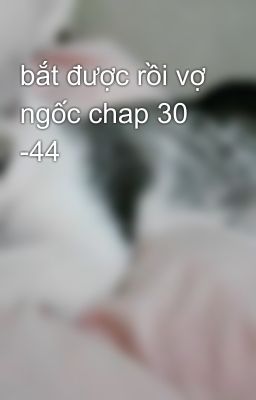 bắt được rồi vợ ngốc chap 30 -44