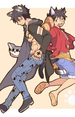 Bay nào! Tôi sẽ giúp em [LawLuffy]