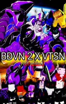 BĐVN 2 x VTSN