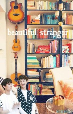 beautiful stranger | s.l. + j.h. (seoksoo)