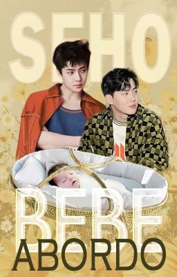 BEBÉ ABORDO-SEHO