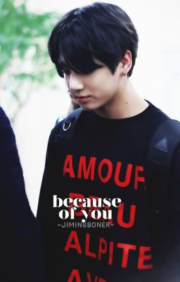 Because Of You | Kookmin || ZAWIESZONE