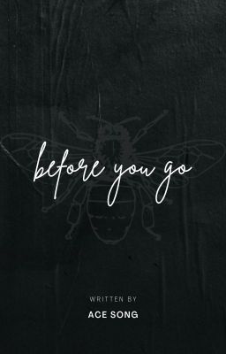 Before You Go