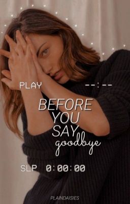 Before You Say Goodbye ⇾ S. Stan