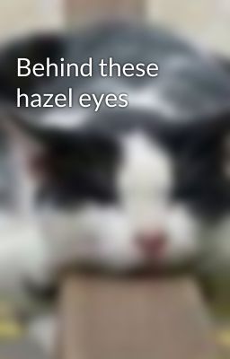 Behind these hazel eyes